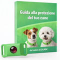 Guida alla Protezione - Gratuita (E-Book Digitale)